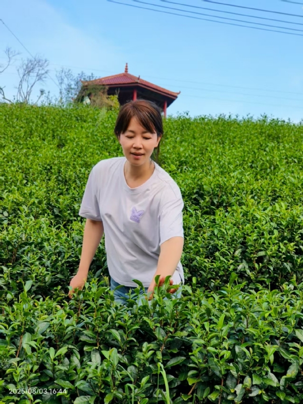 Q绮芳的第一张照片--福建父母相亲团